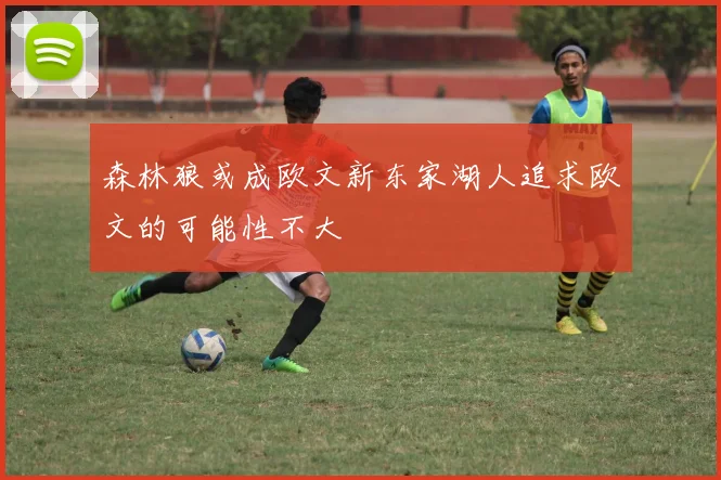 森林狼或成欧文新东家湖人追求欧文的可能性不大